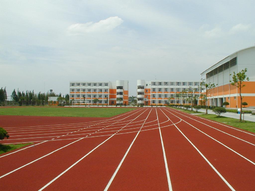 梁山宏志中學(xué)400m塑膠跑道